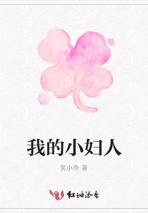 我的小婦人