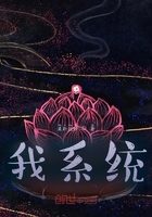 我的系统！在线阅读
