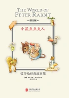小鼠点点夫人在线阅读