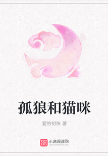 孤狼和貓咪