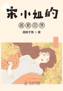 宋小姐的追愛日常