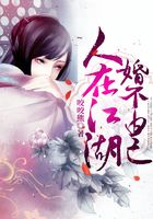人在江湖,婚不由己在线阅读