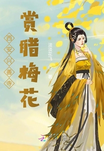 西安興善寺賞臘梅花