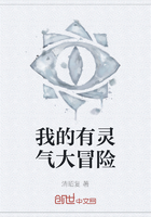 我的有靈氣大冒險在線閱讀