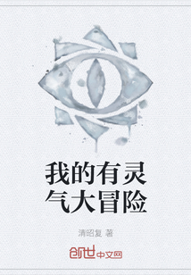 我的有靈氣大冒險