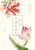 你好,中国花语在线阅读