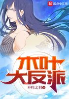 木叶大反派