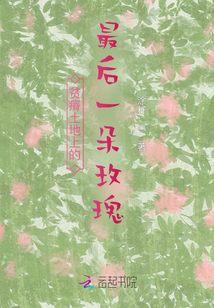 貧瘠土地上的最后一朵玫瑰