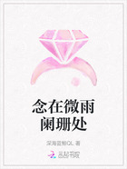 念在微雨闌珊處在線閱讀