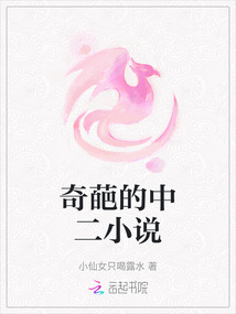 奇葩的中二小說