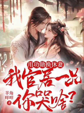 用功勋换休妻，我官居一品你哭啥？在线阅读