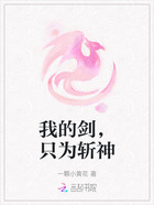 我的剑,只为斩神在线阅读
