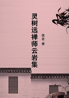 灵树远禅师云岩集