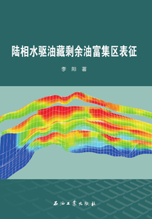 陸相水驅油藏剩余油富集區表征