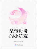皇帝哥哥的小娇宠在线阅读