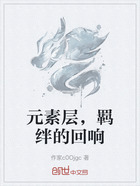 元素层,羁绊的回响在线阅读