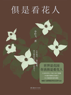 俱是看花人在線閱讀