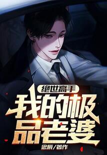 絕世高手：我的極品老婆