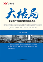 大格局：变动中的中国区域发展战略布局在线阅读