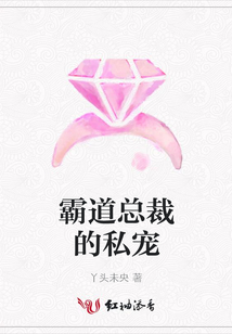 霸道总裁的私宠
