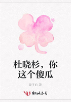 杜曉杉，你這個傻瓜在線閱讀