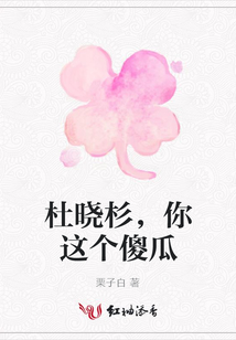 杜曉杉,你這個傻瓜