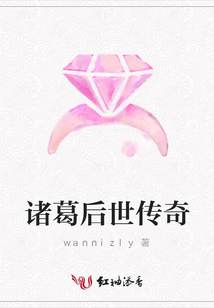 諸葛后世傳奇