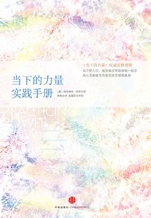 當下的力量實踐手冊