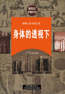 身體的透視·下