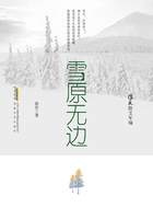 徐迅散文年编:雪原无边在线阅读