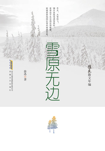 徐迅散文年編：雪原無邊