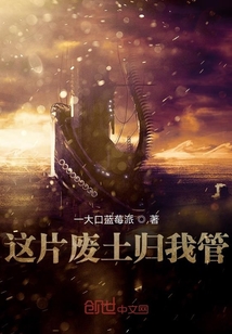 這片廢土歸我管