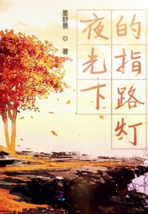 夜光下的指路燈