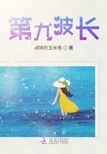 第九波長