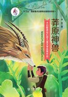 大白鲸原创幻想儿童文学优秀作品:莽原神兽在线阅读