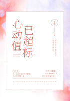 心动值已超标在线阅读