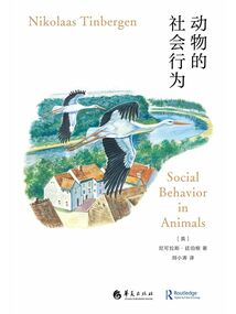 动物的社会行为