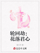轮回劫:花落君心在线阅读