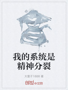 我的系统是精神分裂在线阅读