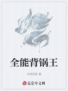 全能背锅王在线阅读