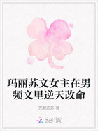 玛丽苏文女主在男频文里逆天改命在线阅读