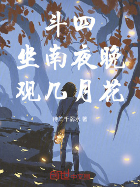 斗四:坐南夜晚,观几月花在线阅读