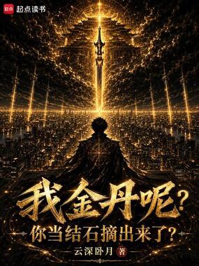 我金丹呢？你当结石摘出来了？在线阅读