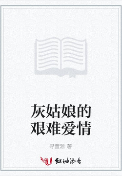 灰姑娘的艰难爱情 封面