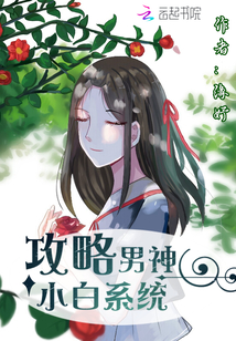 攻略男神小白系統