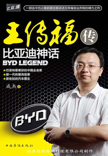 王傳福傳