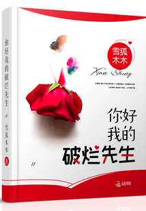你好,，我的破爛先生