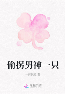 偷拐男神一只