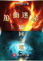 追仙迷錄之輪回之境在線閱讀