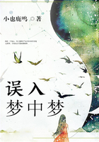 誤入夢(mèng)中夢(mèng)在線閱讀